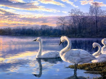 cygne lac coucher de soleil paysage oiseaux Peinture à l'huile